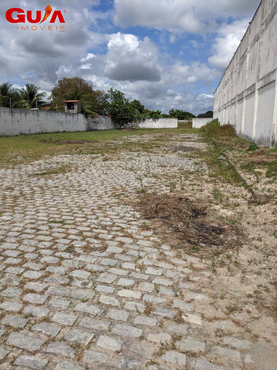 Depósito-Galpão-Armazém para alugar - Foto 3