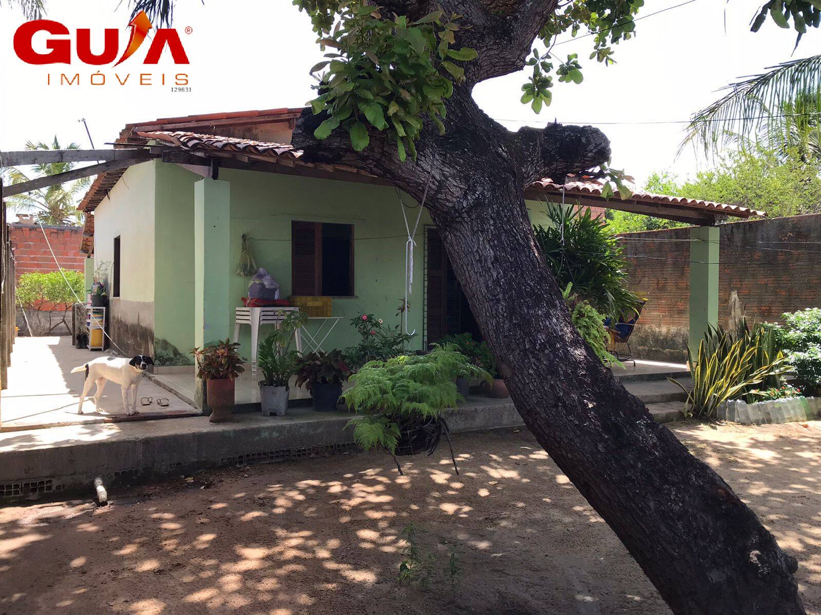 Casa à venda com 3 quartos, 360m² - Foto 19