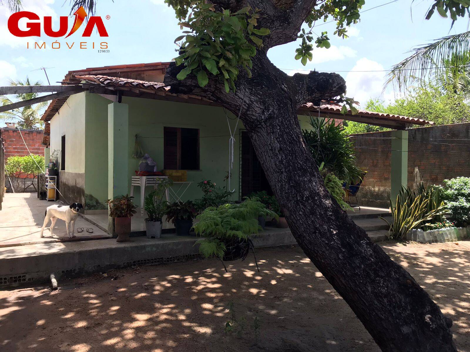 Casa à venda com 3 quartos, 360m² - Foto 18