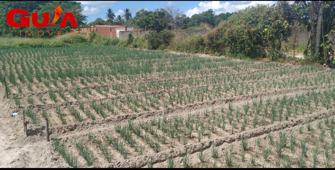 Terreno à venda, 12150m² - Foto 3