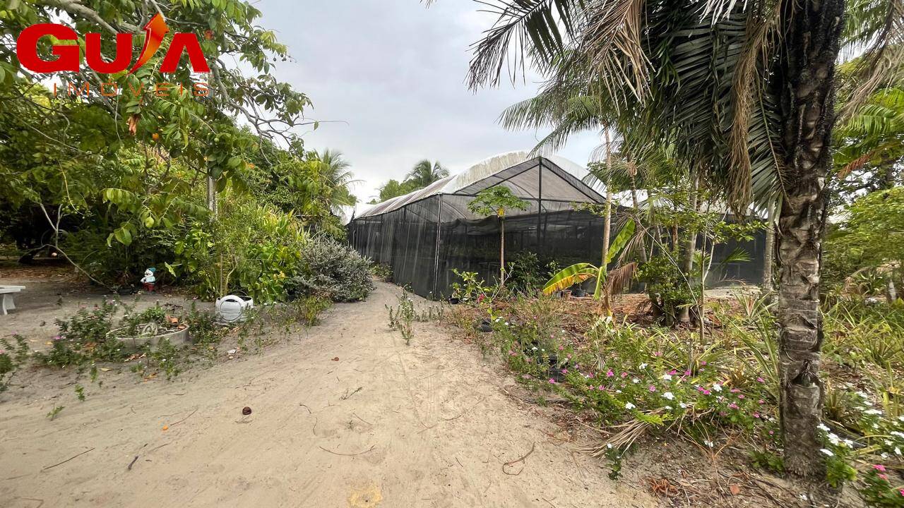 Fazenda à venda com 4 quartos, 200m² - Foto 2