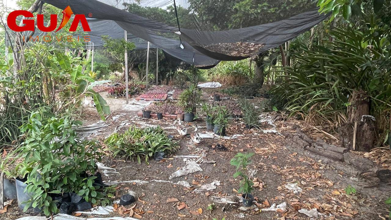 Fazenda à venda com 4 quartos, 200m² - Foto 9