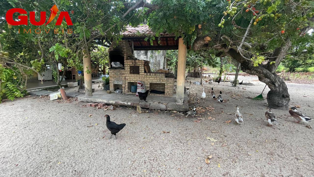 Fazenda à venda com 4 quartos, 200m² - Foto 5