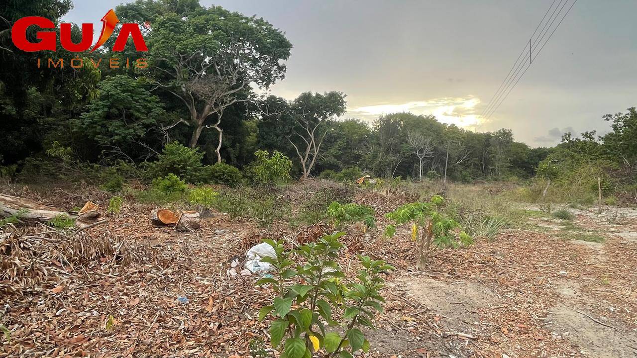 Fazenda à venda com 4 quartos, 200m² - Foto 12