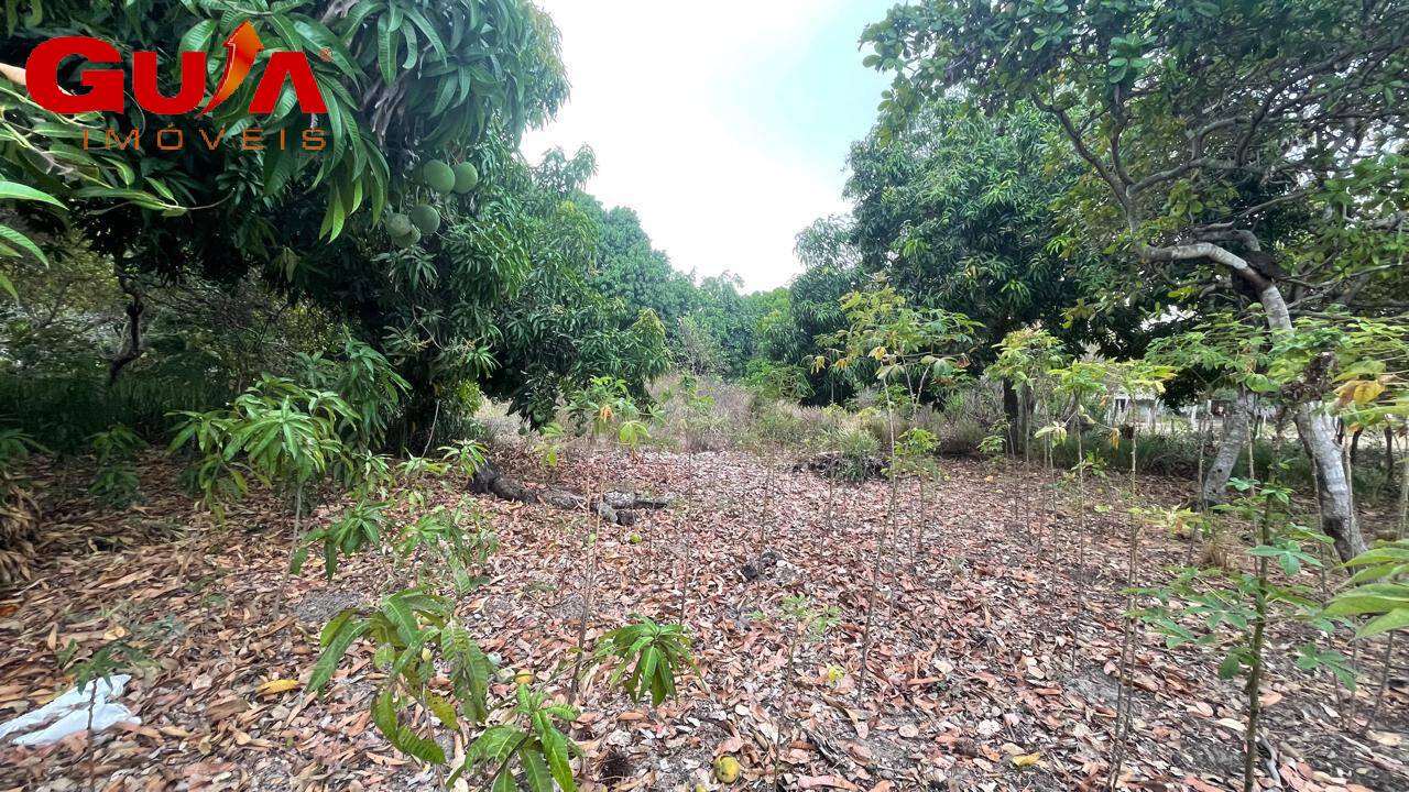 Fazenda à venda com 4 quartos, 200m² - Foto 17