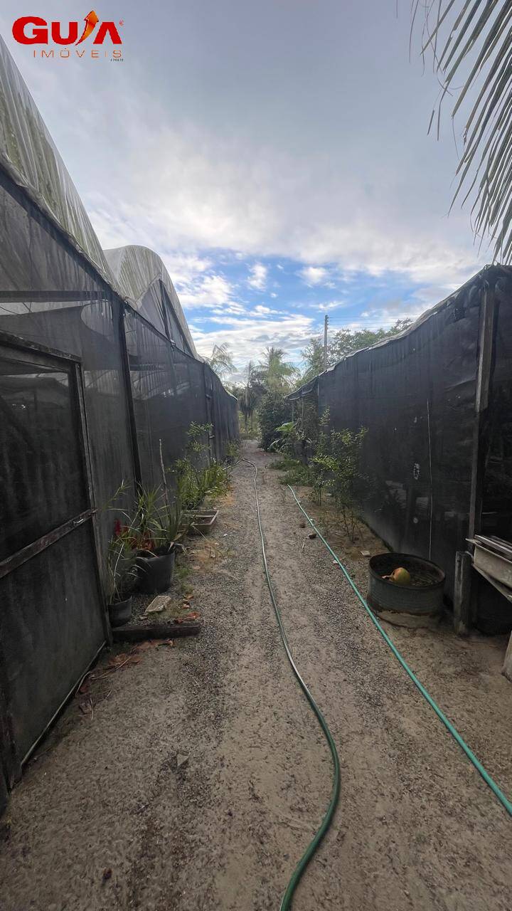 Fazenda à venda com 4 quartos, 200m² - Foto 24