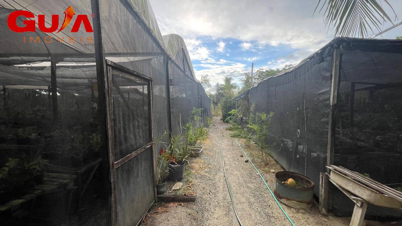 Fazenda à venda com 4 quartos, 200m² - Foto 18